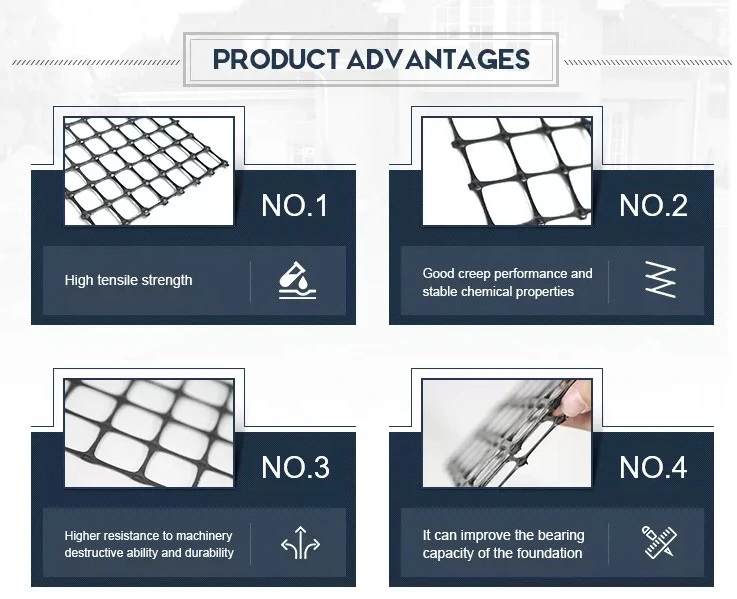 Độ bền kéo 25kn Geogrid nhựa hai trục cho xây dựng đường bộ 1