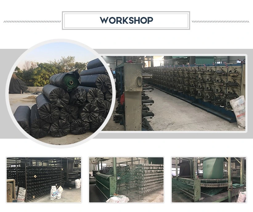 Vải dệt thoi ổn định được chứng nhận PP dệt vải địa kỹ thuật để gia cố đất 4