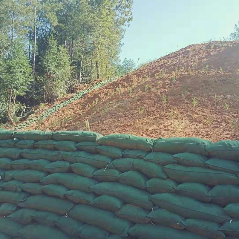 Bảo vệ đê không dệt Geotextile Geobag để củng cố tầng hầm 1