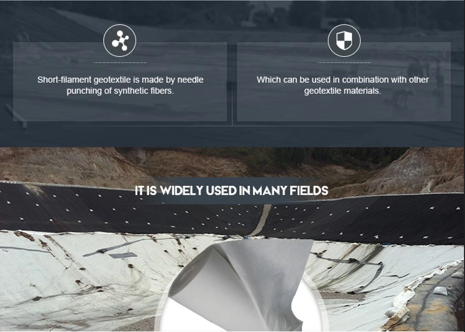 Đường xây dựng vải không dệt Geotextile Geogrid Kiểm soát xói mòn đất 0
