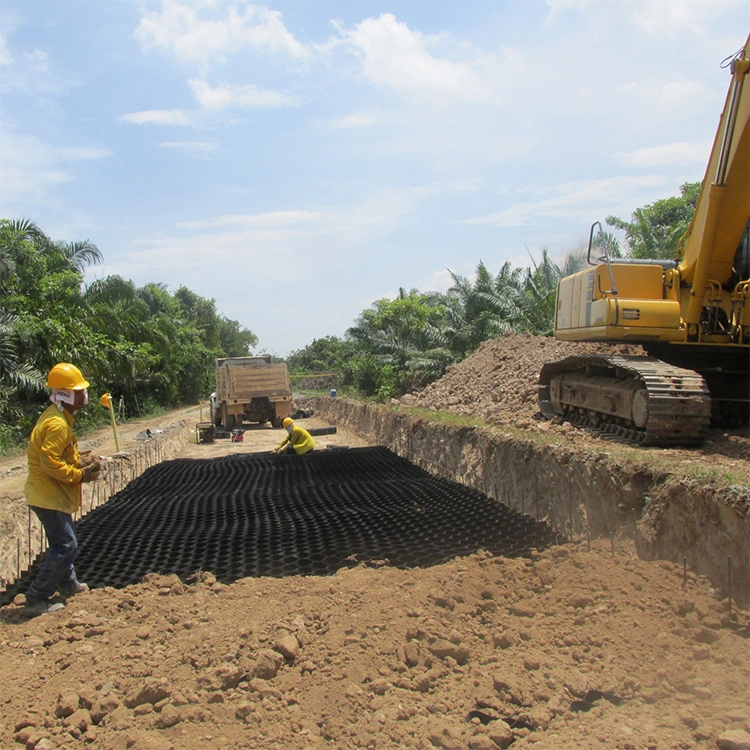 Mạng lưới mặt đất Geocell nhựa HDPE chống ăn mòn được sử dụng trong xây dựng đường bộ 5