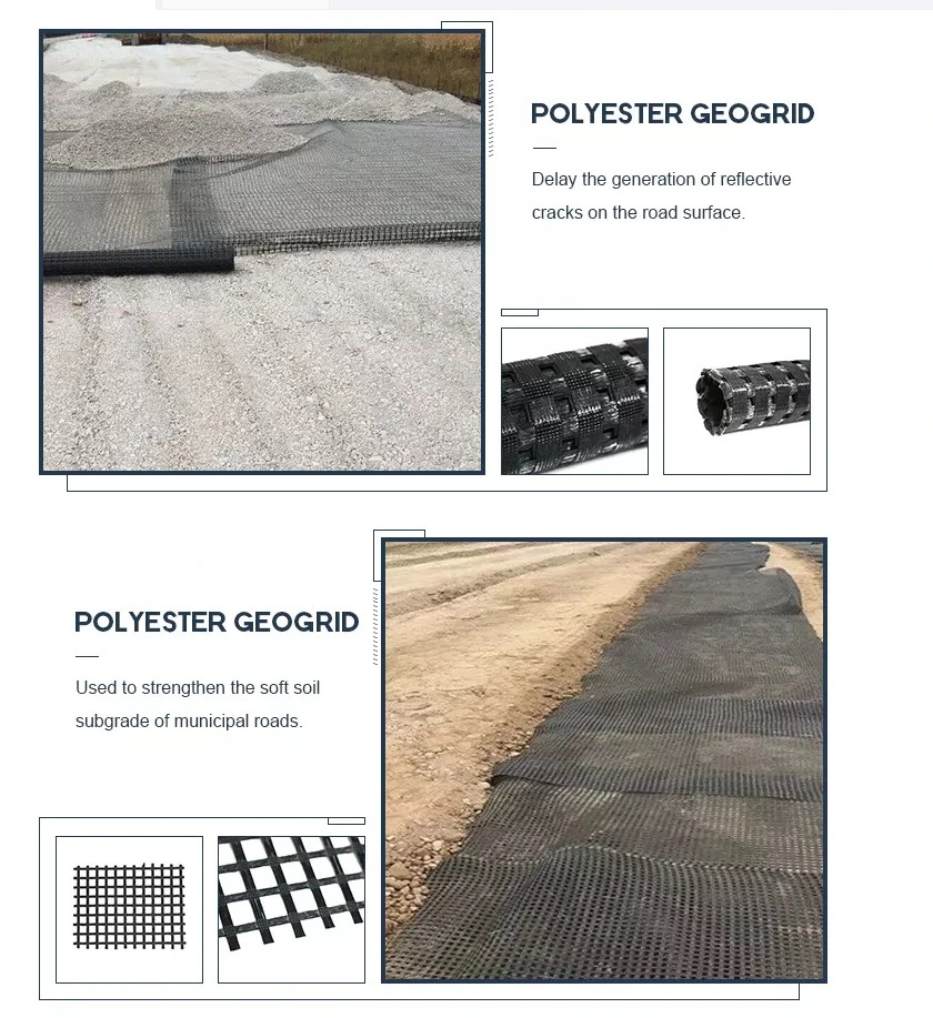 Warp đan polyester dệt PET Bi-axial Geogrid cho gia cố đường 2
