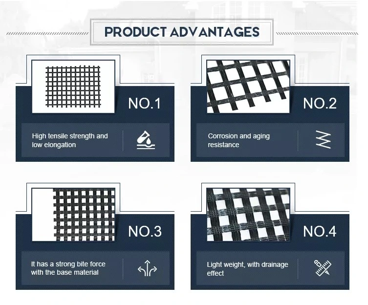 Warp đan polyester dệt PET Bi-axial Geogrid cho gia cố đường 1