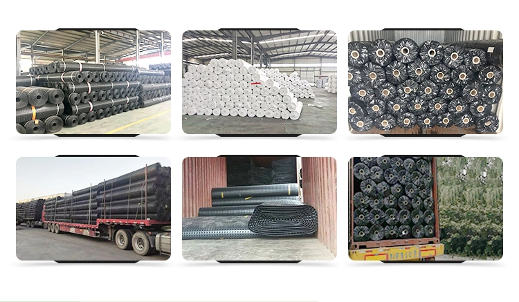 Warp đan polyester dệt PET Bi-axial Geogrid cho gia cố đường 5
