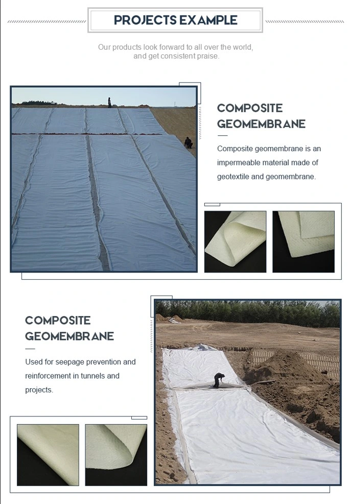 Geomembrane Geotextile tổng hợp chống rò rỉ có độ bền cao 2