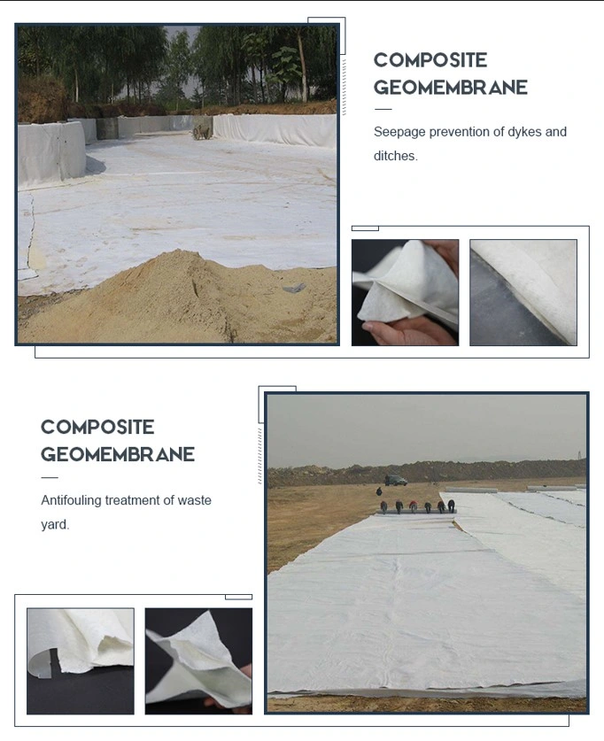 Geomembrane Geotextile tổng hợp chống rò rỉ có độ bền cao 3