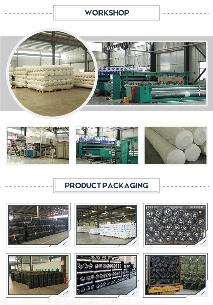 Geomembrane Geotextile tổng hợp chống rò rỉ có độ bền cao 4