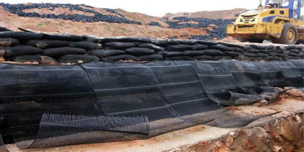 Geo Grid Ground Grid Plastic Uniaxial Polyester Geogrid Uniaxial Gravle Grid Ground cho tầng hầm đường lái xe 1