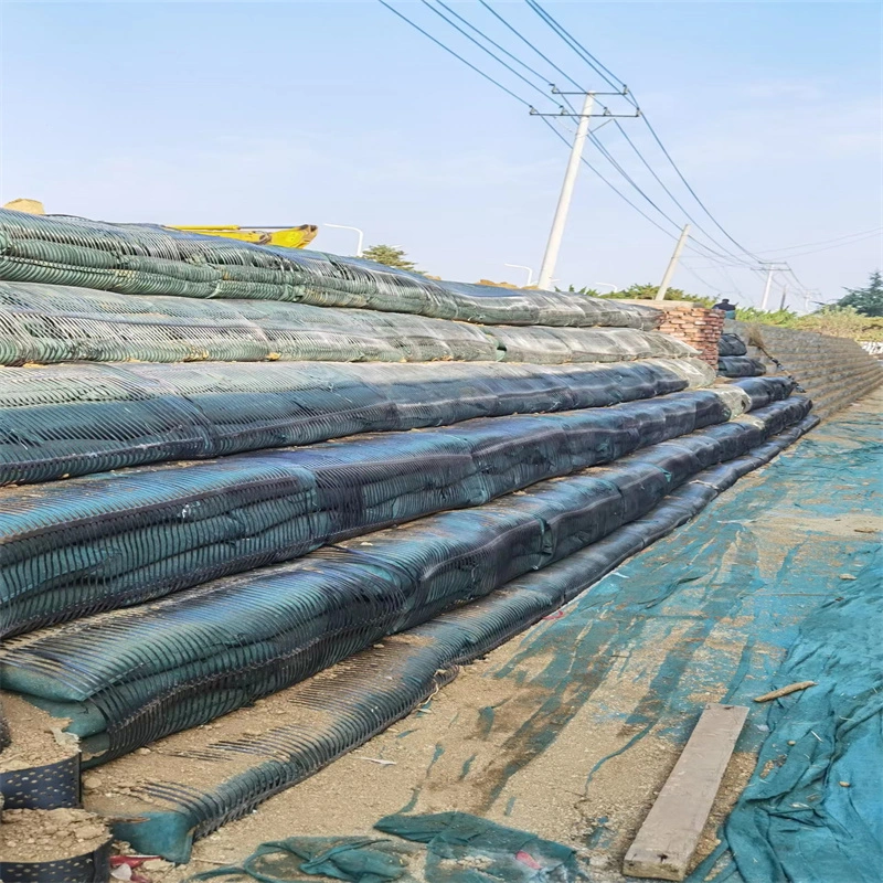 Geo Grid Ground Grid Plastic Uniaxial Polyester Geogrid Uniaxial Gravle Grid Ground cho tầng hầm đường lái xe 9