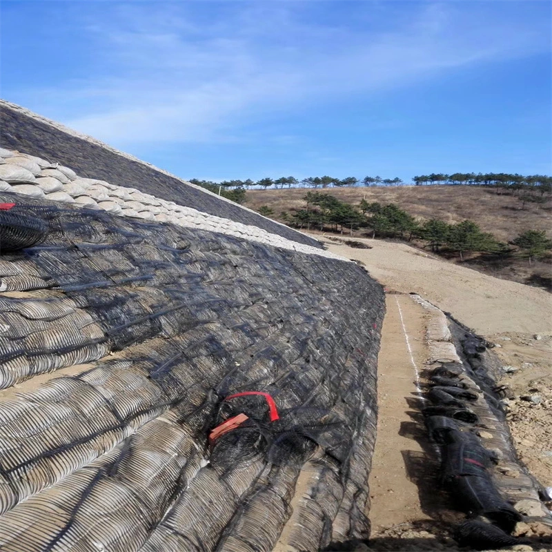Geo Grid Ground Grid Plastic Uniaxial Polyester Geogrid Uniaxial Gravle Grid Ground cho tầng hầm đường lái xe 12