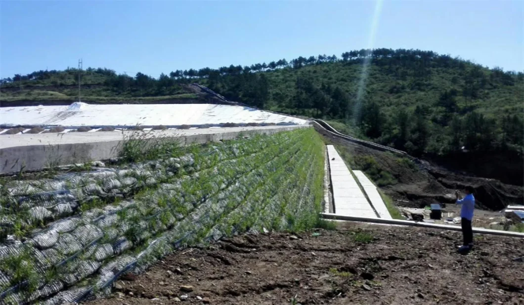 Geo Grid Ground Grid Plastic Uniaxial Polyester Geogrid Uniaxial Gravle Grid Ground cho tầng hầm đường lái xe 13