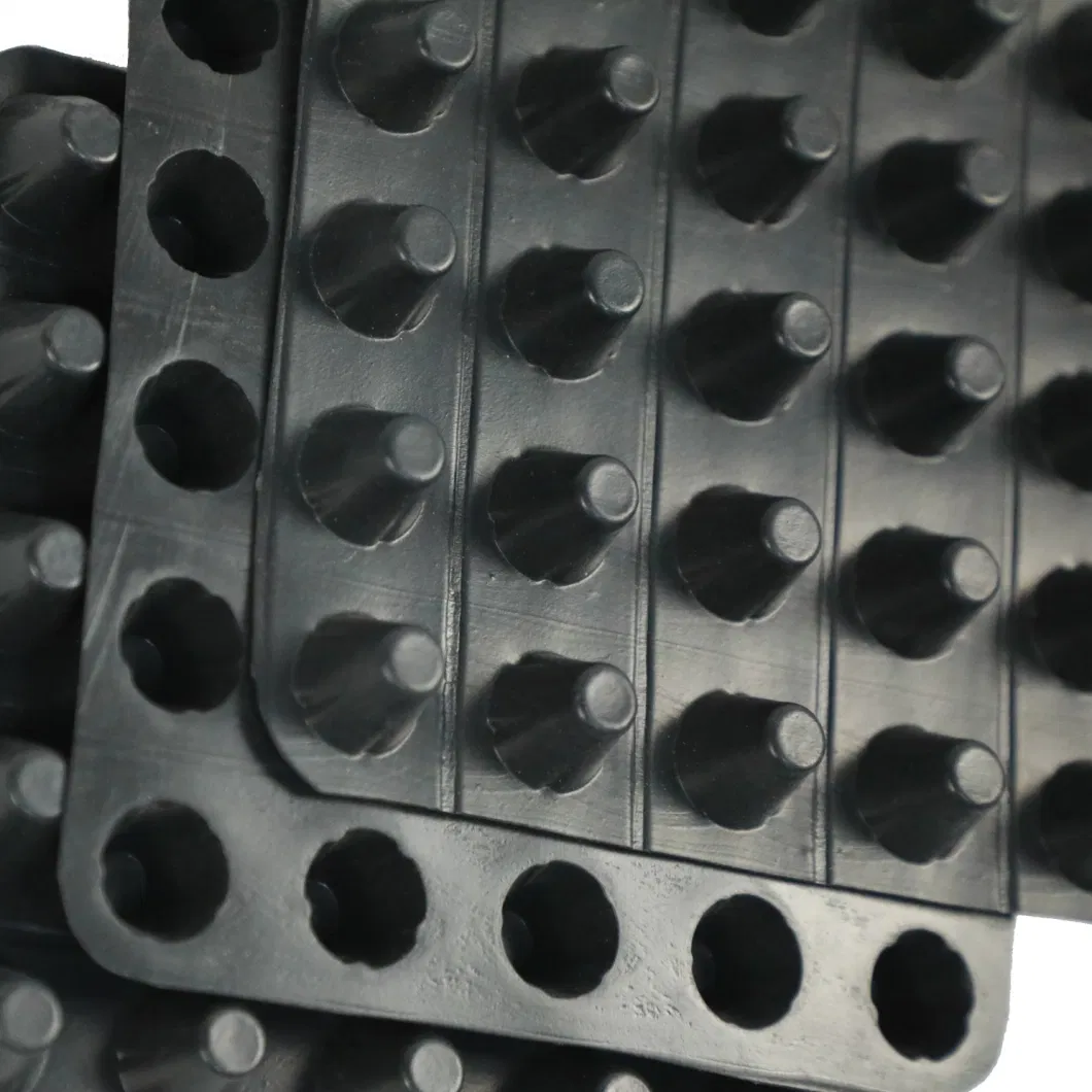 Dự án làm xanh màng thoát nước hố PVC Bảng thoát nước hố lỗ Xây dựng nền đất Giải pháp nước Giải pháp nước 5
