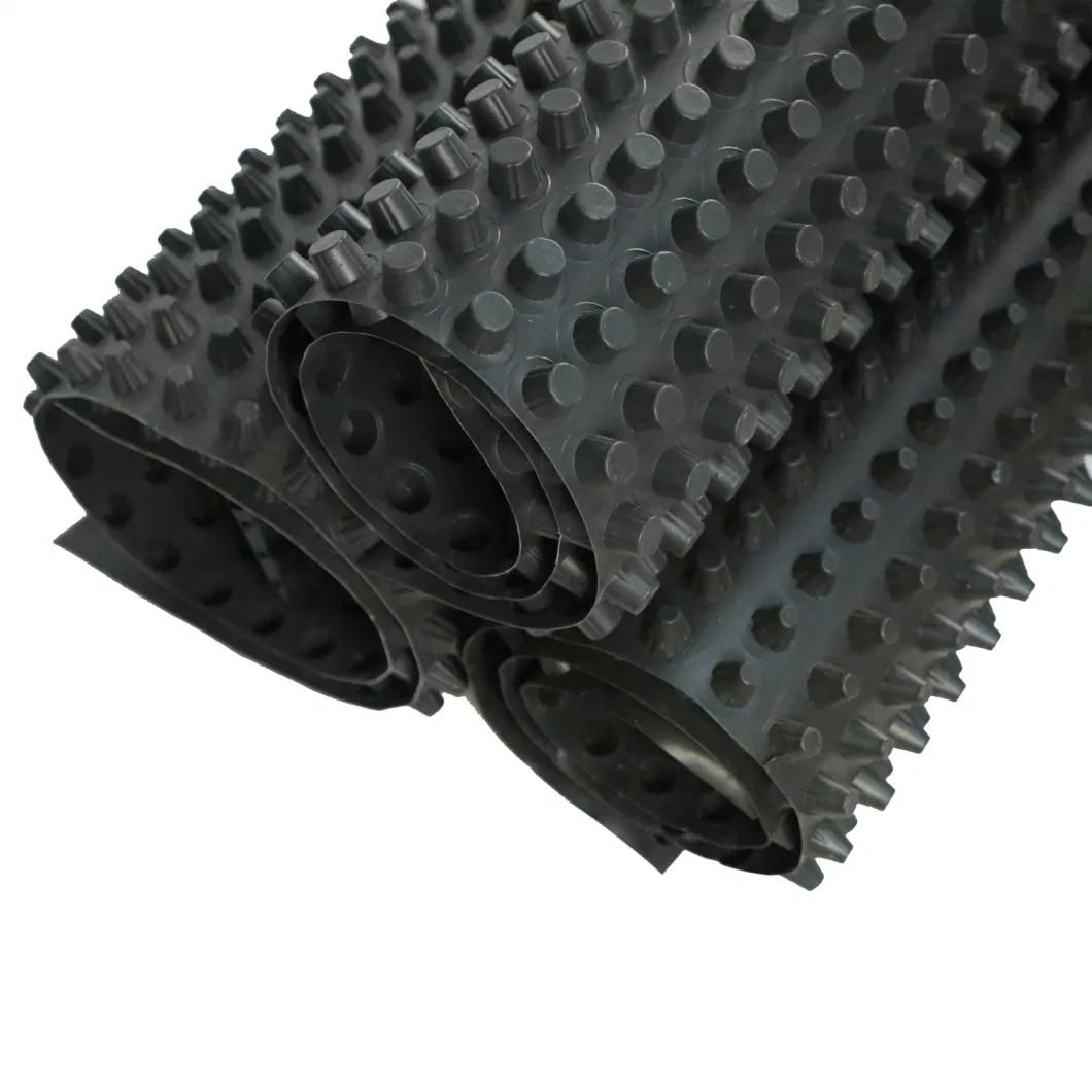 Dự án làm xanh màng thoát nước hố PVC Bảng thoát nước hố lỗ Xây dựng nền đất Giải pháp nước Giải pháp nước 9