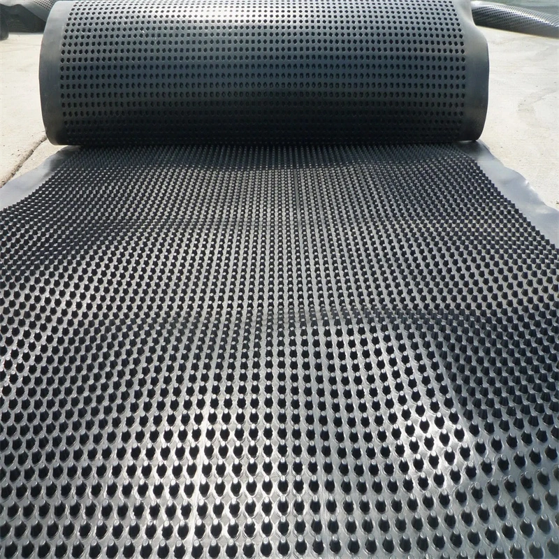 Dự án làm xanh màng thoát nước hố PVC Bảng thoát nước hố lỗ Xây dựng nền đất Giải pháp nước Giải pháp nước 10