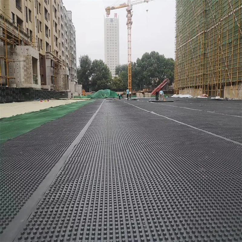Dự án làm xanh màng thoát nước hố PVC Bảng thoát nước hố lỗ Xây dựng nền đất Giải pháp nước Giải pháp nước 14
