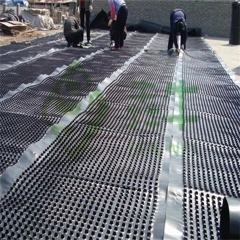 Dự án làm xanh màng thoát nước hố PVC Bảng thoát nước hố lỗ Xây dựng nền đất Giải pháp nước Giải pháp nước 15
