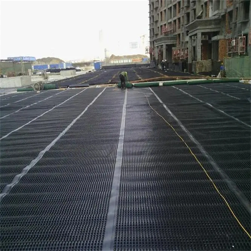 Dự án làm xanh màng thoát nước hố PVC Bảng thoát nước hố lỗ Xây dựng nền đất Giải pháp nước Giải pháp nước 16