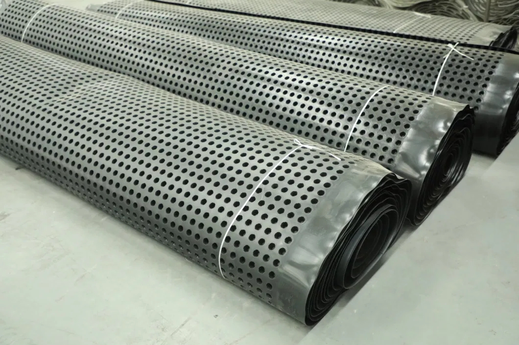 Dự án làm xanh màng thoát nước hố PVC Bảng thoát nước hố lỗ Xây dựng nền đất Giải pháp nước Giải pháp nước 18