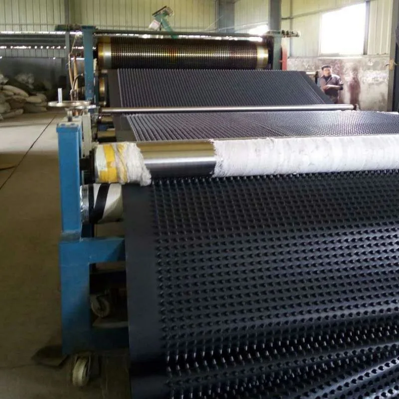 Dự án làm xanh màng thoát nước hố PVC Bảng thoát nước hố lỗ Xây dựng nền đất Giải pháp nước Giải pháp nước 20