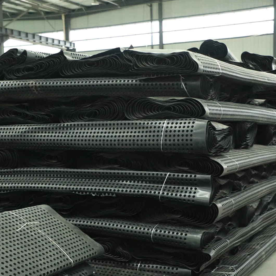 Dự án làm xanh màng thoát nước hố PVC Bảng thoát nước hố lỗ Xây dựng nền đất Giải pháp nước Giải pháp nước 21