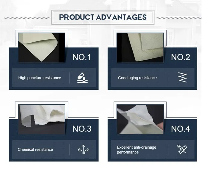 Geomembrane tổng hợp với hai lớp Geotextile Geomembrane một lớp Cho xử lý chất thải bãi rác 1