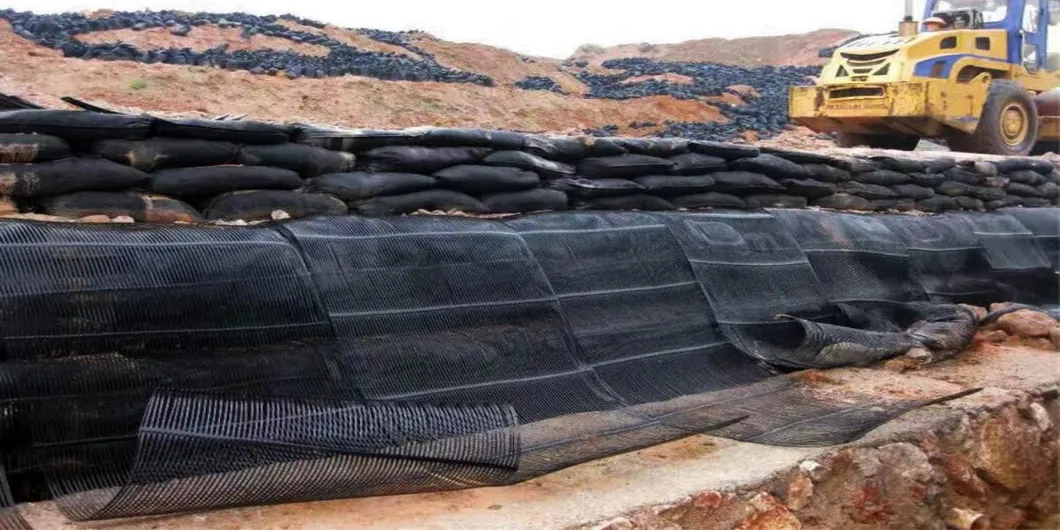 PP nhựa PE một chiều Polyester Geogrid Gravel Grid Stabilizer đất để củng cố đất 1