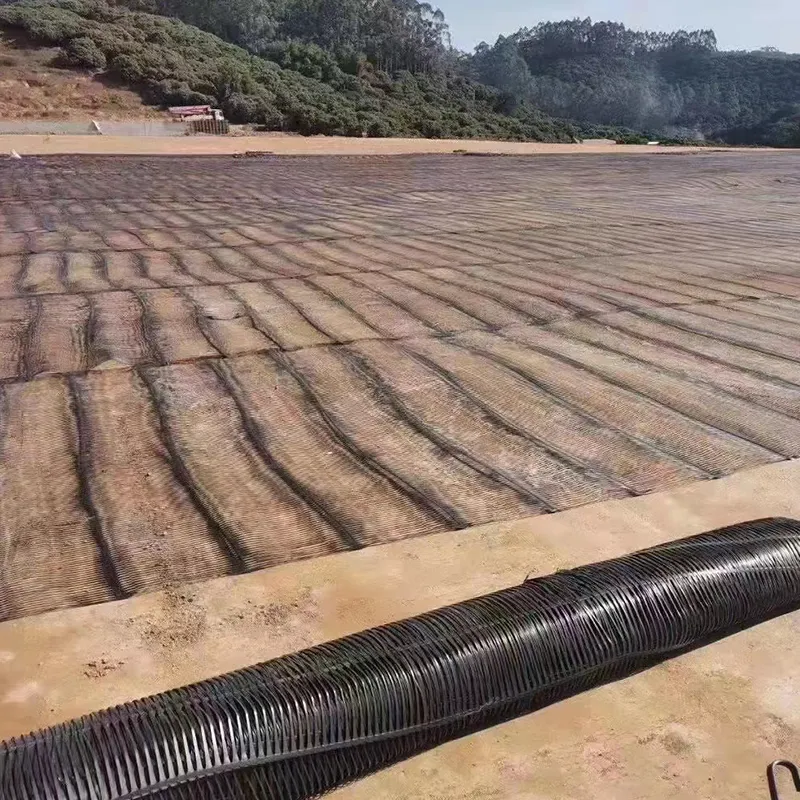 Nhựa polypropylene PE đơn chiều trục trục trục nhựa Geogrid để củng cố đường 4