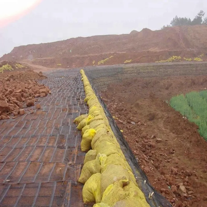 Nhựa polypropylene PE đơn chiều trục trục trục nhựa Geogrid để củng cố đường 5