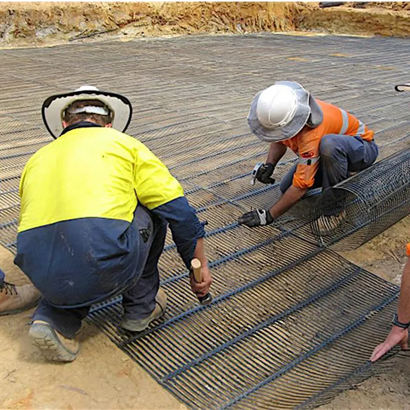 Nhựa polypropylene PE đơn chiều trục trục trục nhựa Geogrid để củng cố đường 6