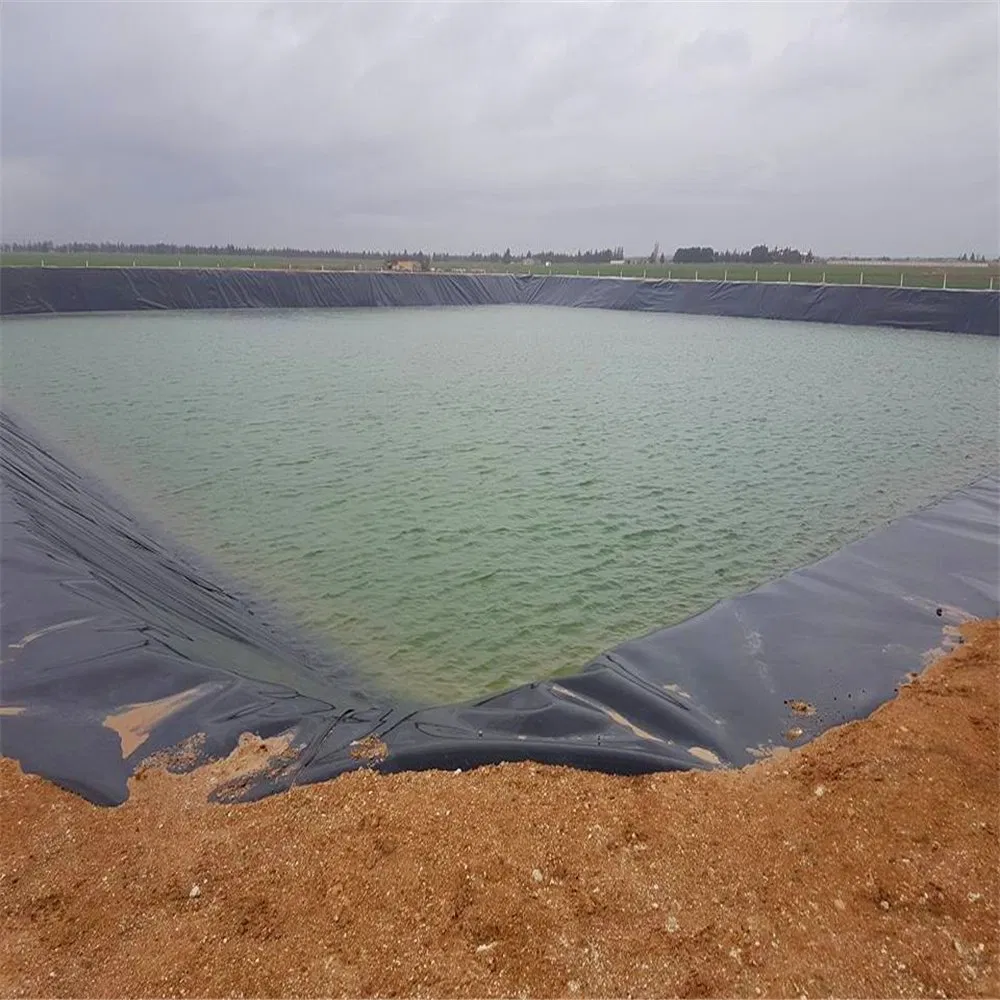 Polyethylene ngoài trời nuôi cá Geomembrane Pond Liner HDPE Containment Liner Lider Lider Lider Lider Geomembrane Liner 2