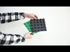 Ban thoát nước lúm đồng tiền