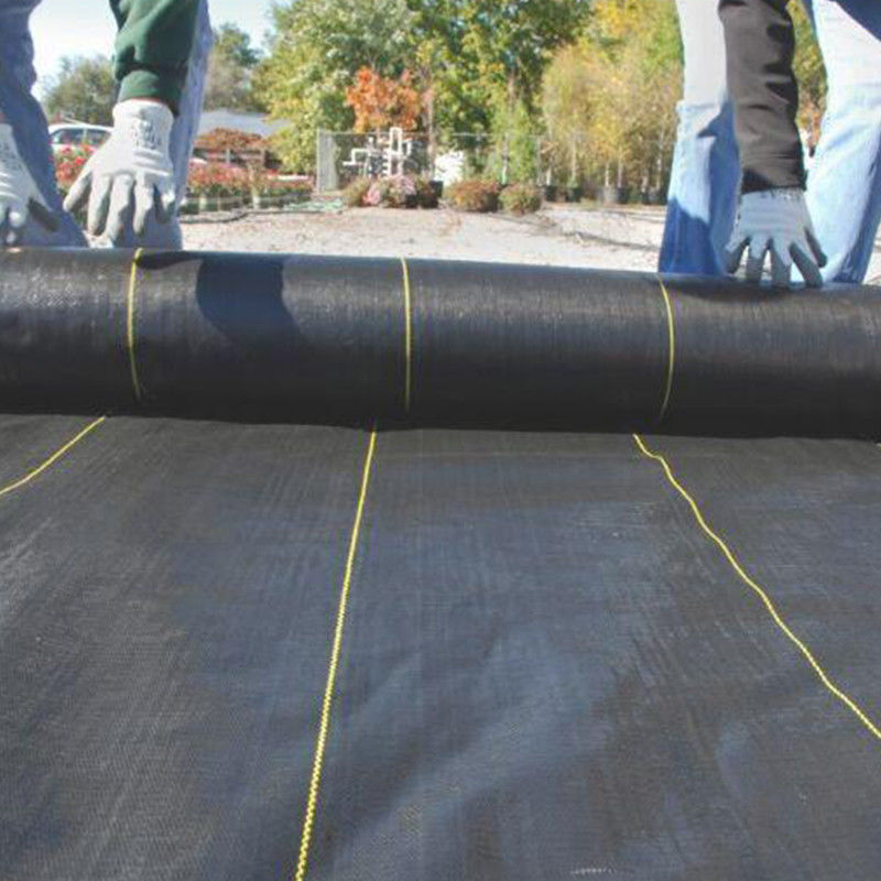 Ổn định vải dệt PP vải địa kỹ thuật Geogrid cho sản phẩm gia cố đất