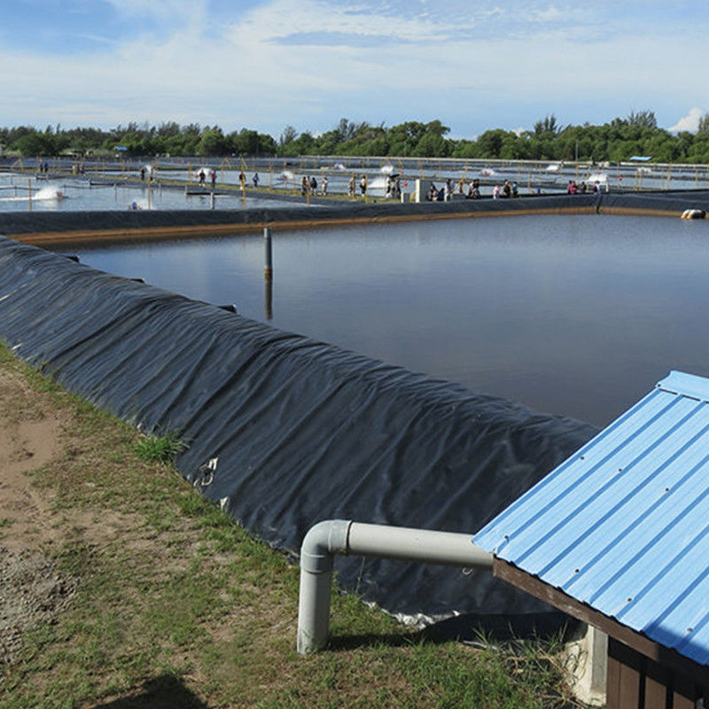 Lớp lót nước chống nước HDPE Geomembrane cho bể nước