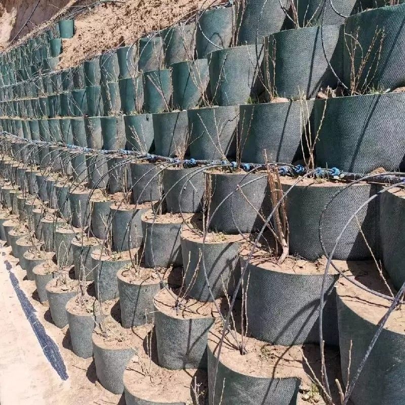 Mạng lưới mặt đất Geocell nhựa HDPE chống ăn mòn được sử dụng trong xây dựng đường bộ