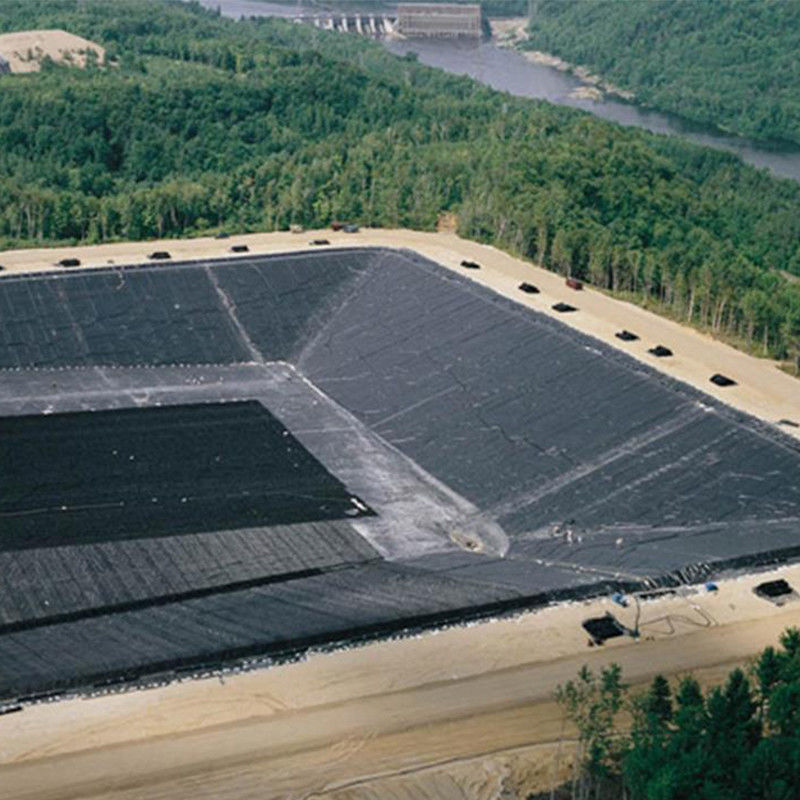 0.3mm/0.5mm/0.75mm/1mm/1.5mm/2mm Black Membrane Plastic Sheet HDPE LDPE LLDPE Virgin Geomembrane Liner cho cá tôm F