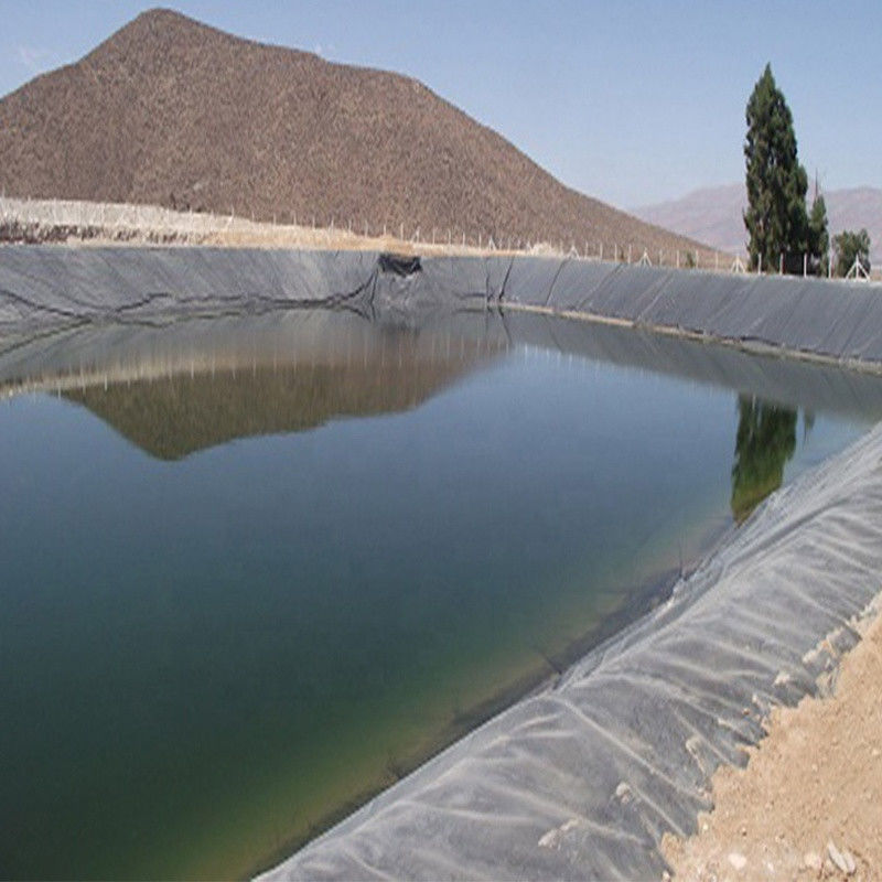0.3mm/0.5mm/0.75mm/1mm/1.5mm/2mm Black Membrane Plastic Sheet HDPE LDPE LLDPE Virgin Geomembrane Liner cho cá tôm F