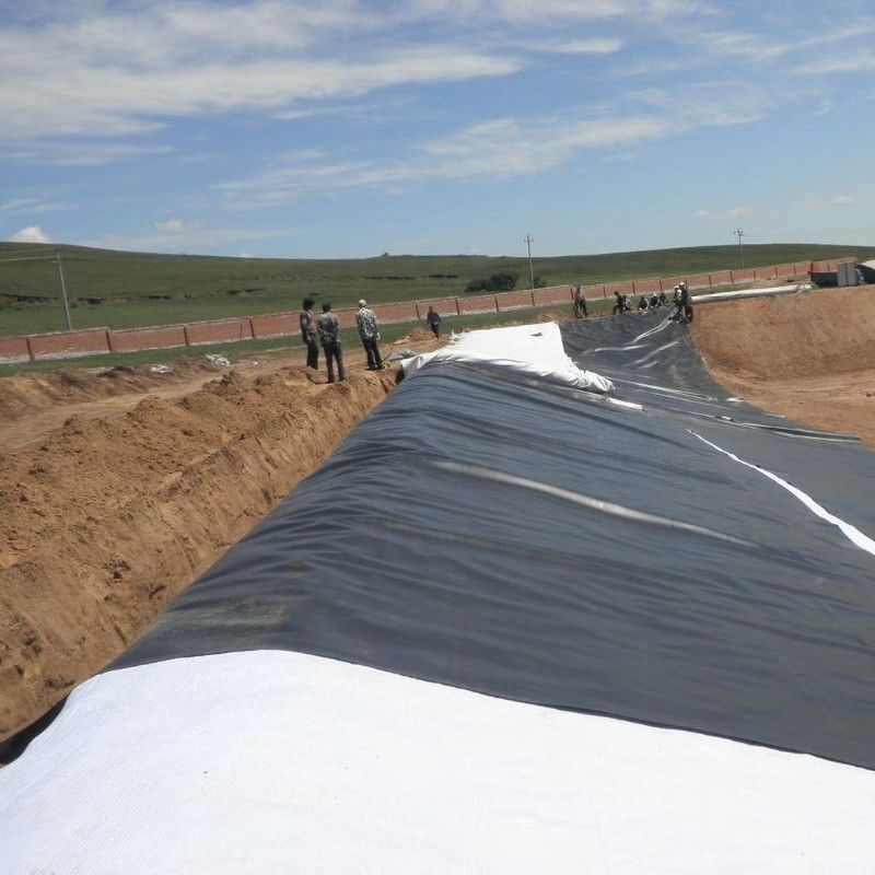 0.5mm 1mm 1.5mm nhựa chống nước thủy sản Geomembrane Hdpe Liner Fish Farm bán buôn Geomembrane Pond Liner