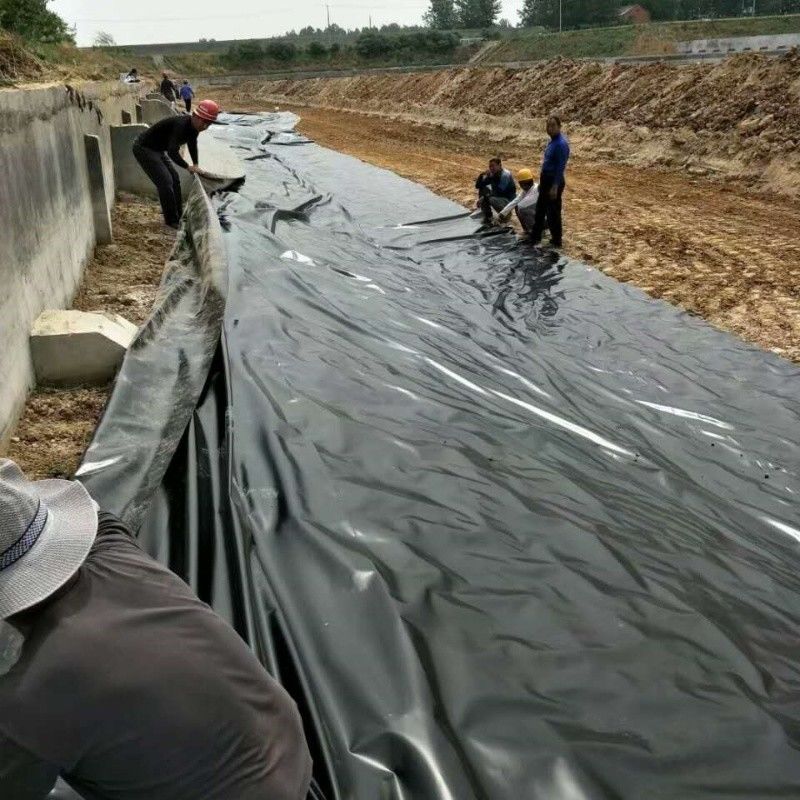 0.5mm 1mm 1.5mm nhựa chống nước thủy sản Geomembrane Hdpe Liner Fish Farm bán buôn Geomembrane Pond Liner