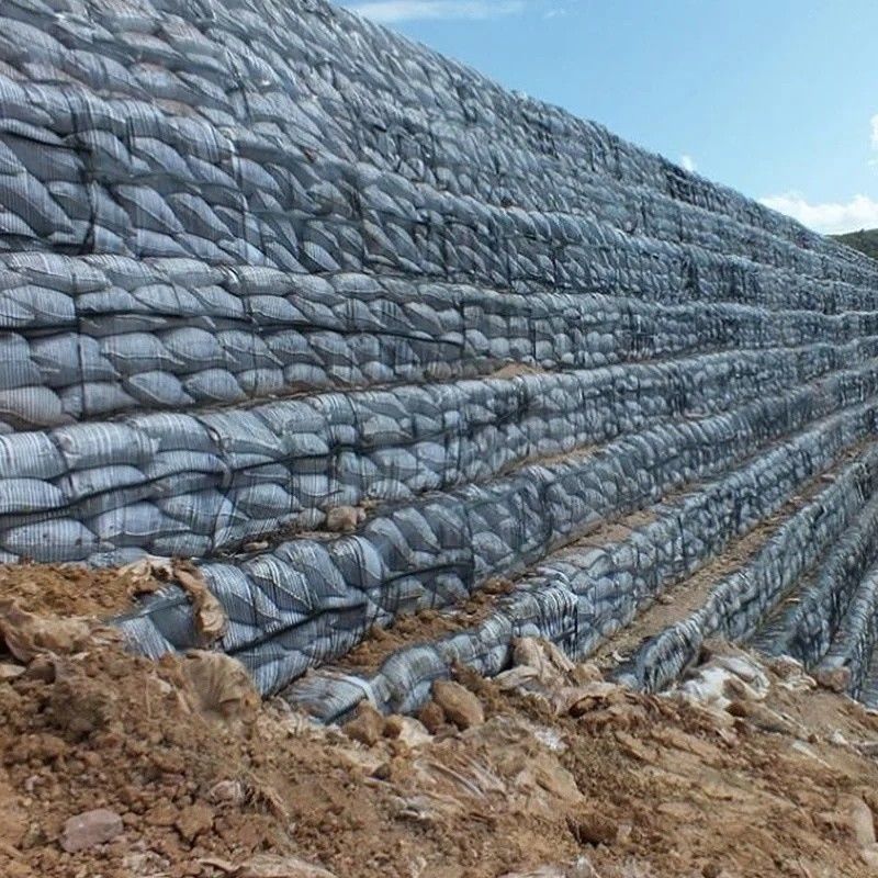 Geo Grid Ground Grid Plastic Uniaxial Polyester Geogrid Uniaxial Gravle Grid Ground cho tầng hầm đường lái xe