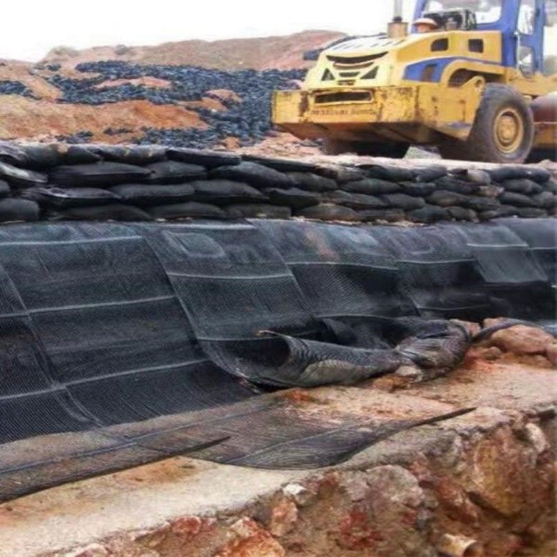 Geo Grid Ground Grid Plastic Uniaxial Polyester Geogrid Uniaxial Gravle Grid Ground cho tầng hầm đường lái xe