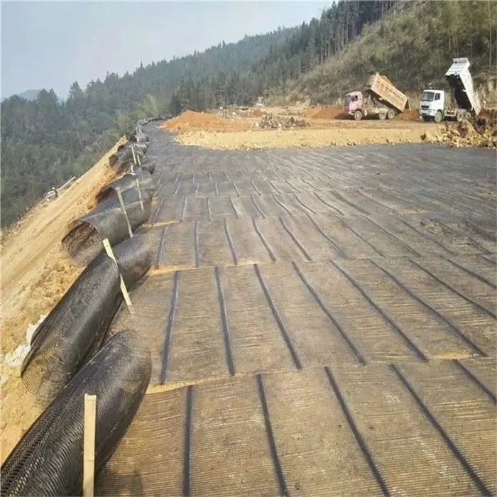 Geo Grid Ground Grid Plastic Uniaxial Polyester Geogrid Uniaxial Gravle Grid Ground cho tầng hầm đường lái xe