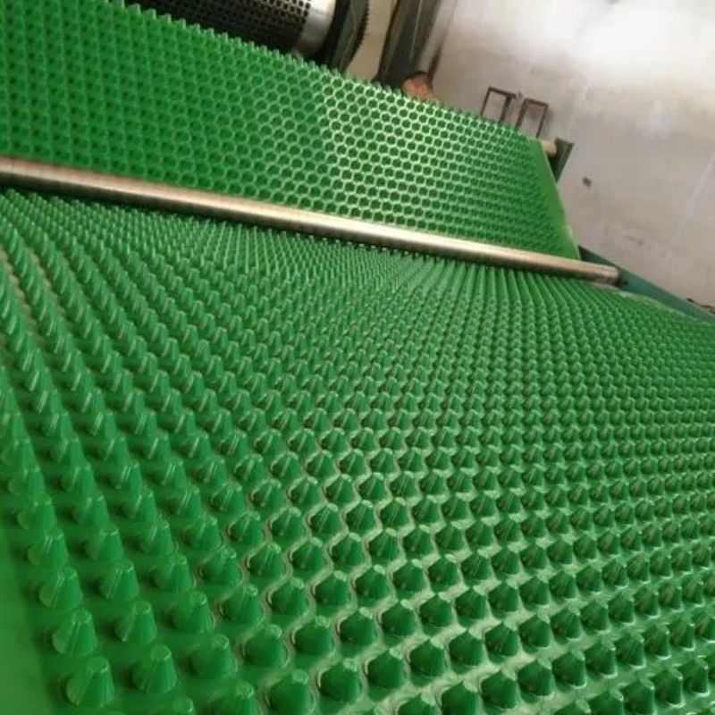 Dự án làm xanh màng thoát nước hố PVC Bảng thoát nước hố lỗ Xây dựng nền đất Giải pháp nước Giải pháp nước