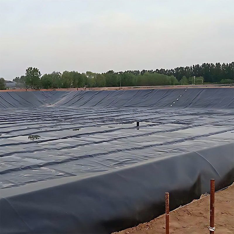 ASTM 100% Virgin Waterproof Aquaculture Pond Liner mật độ cao HDPE Geomembrane Dam Pond Liner