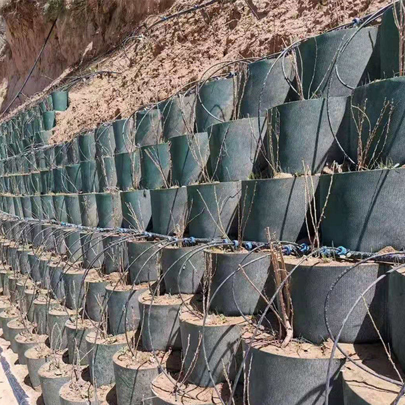 Hệ thống giam giữ tế bào cao kết cấu Honeycomb HDPE Geocell cho đường nền tảng Bảo vệ sườn bãi đậu xe Đường lái xe Bức tường giữ