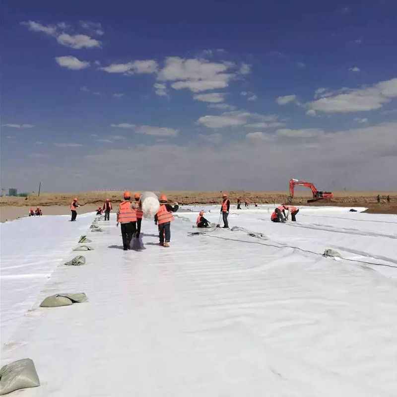 PET Polyester Long Fibers Nonwoven Needle Punched Polyester Geotextile không dệt