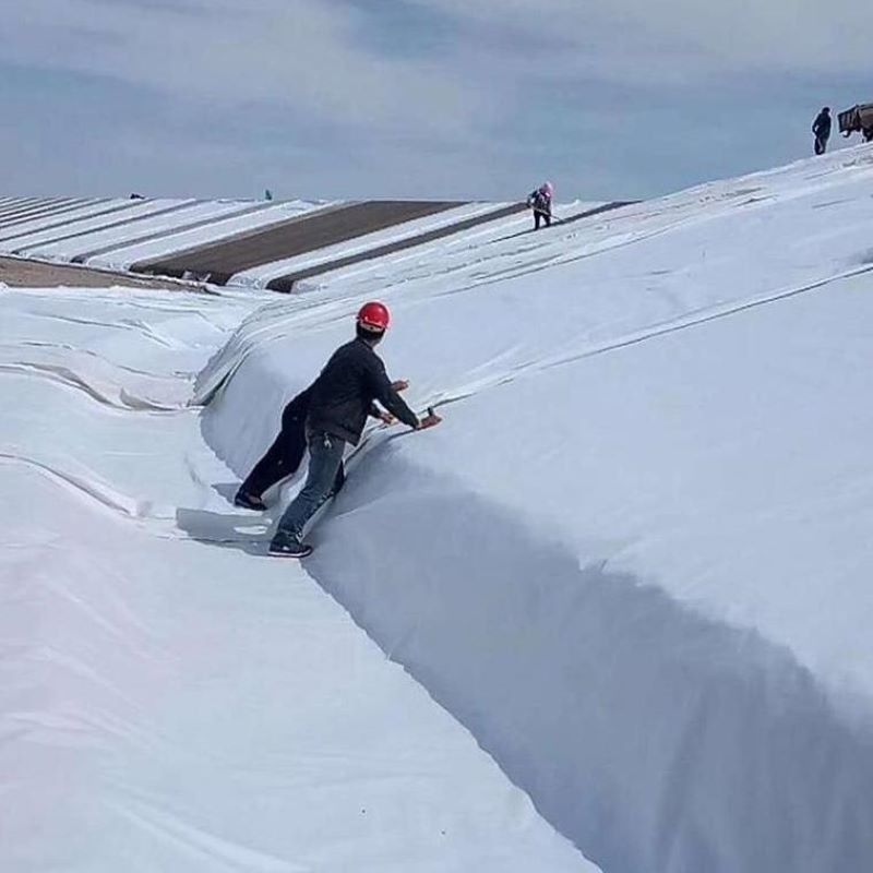 Màu trắng đen không dệt kim đâm Geotextile PET PP cho đường bộ đường cao tốc đường sắt
