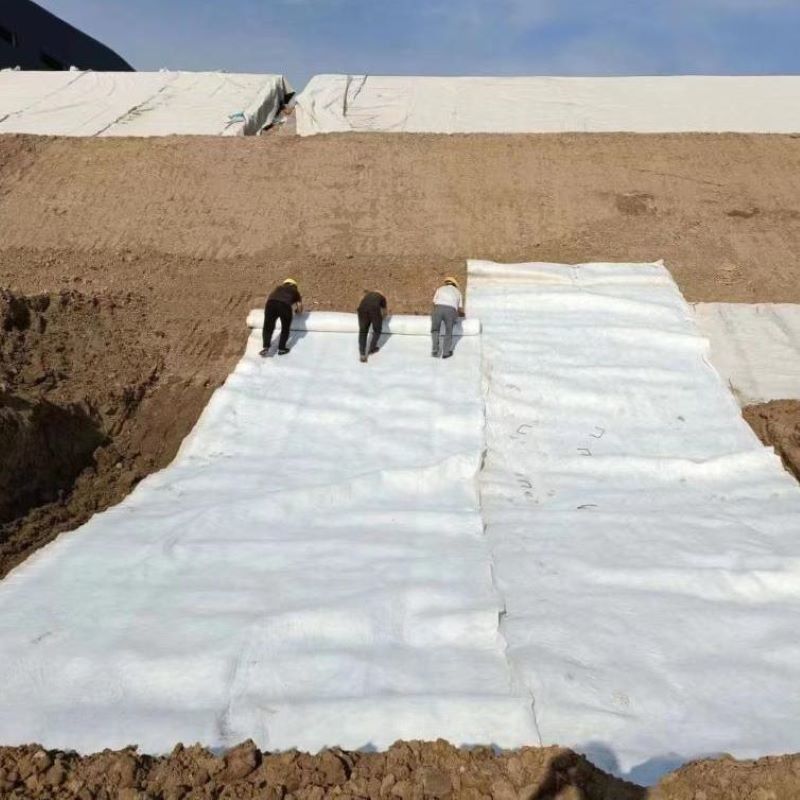 Màu trắng đen không dệt kim đâm Geotextile PET PP cho đường bộ đường cao tốc đường sắt