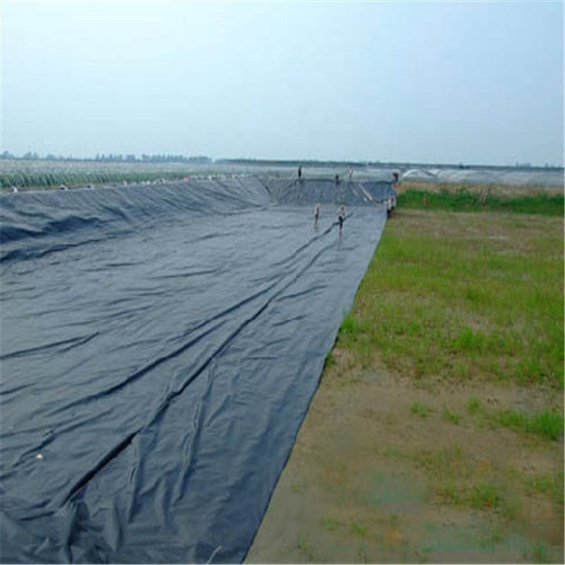 HDPE High Definition Polyethylene Liner Phong cách thiết kế công nghiệp cho cá và nông trại tôm
