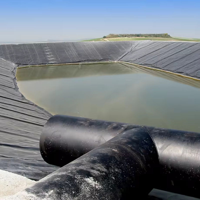 HDPE tùy chỉnh LDPE LLDPE PVC Geomembranes Pond Liner cho cá và tôm