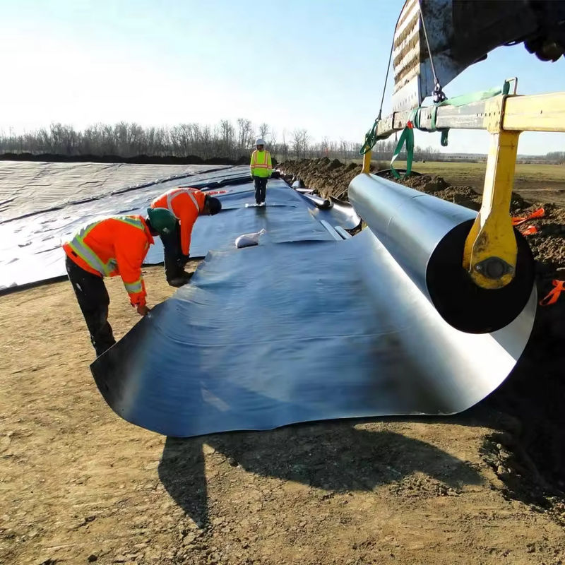 HDPE tùy chỉnh LDPE LLDPE PVC Geomembranes Pond Liner cho cá và tôm